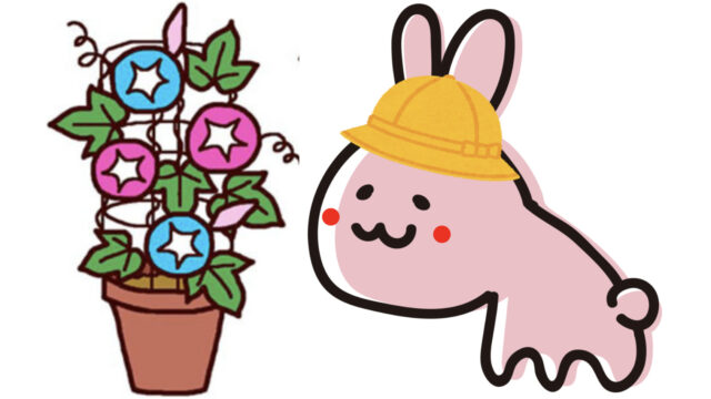asagaojiyuukennkyuu